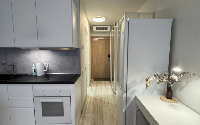 Апартаменты Уютная студия на Бухарестской