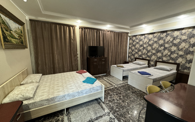 V Tsentre Apartments