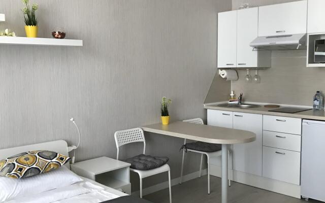Apartments Petersburg Salut