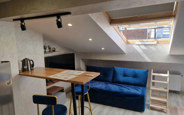 Studiya Na Ligovskom Prospekte 141b Flat