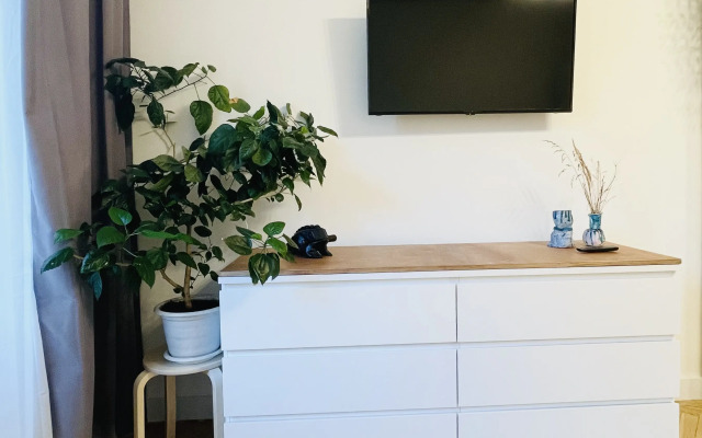 Odnushka V Skandinavskom Stile Flat