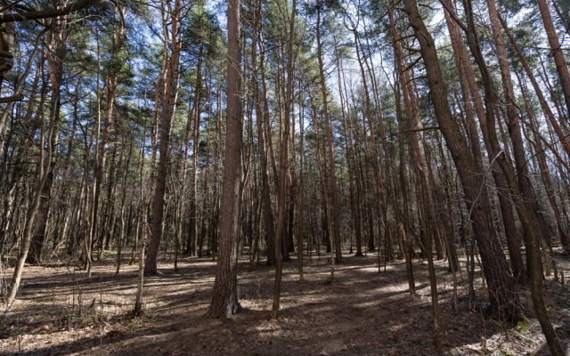 Апартаменты Тайна Голубого Океана в Нахабино - Mari'Nochka