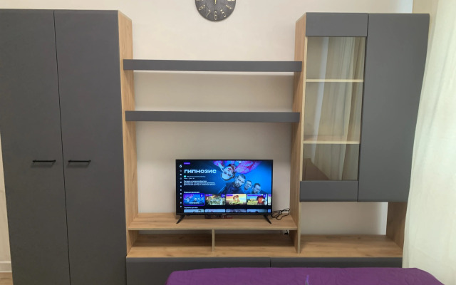 Studiya V Vatutinkakh Flat