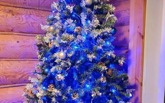 Частный дом на Волжском 4Б