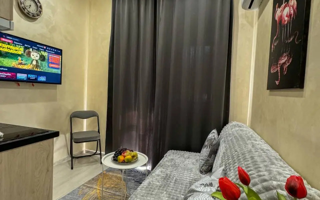 Апартаменты Студия в Отеле Клевер