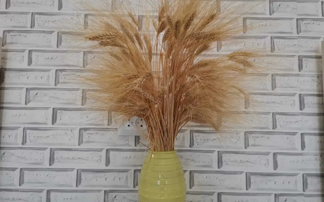 Частный Дом 117 Уютный Атмосферный Дом Геолог 1