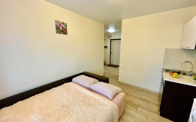 Уютные Апартаменты в доме у Космопорта (ул. Дыбенко 27а)