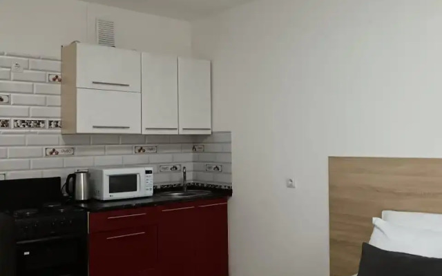 Koltsovo Sputnikov 16/4 Apartment