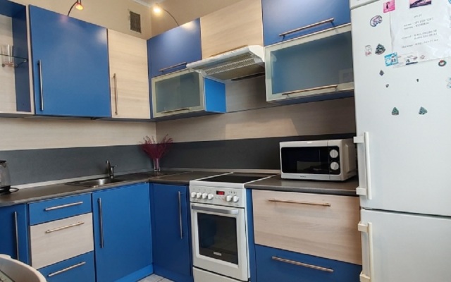 U Metro Akademicheskaya Flat