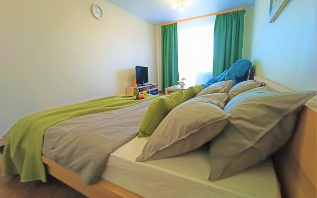 One-room RusDom near the recreation center Rodina Apartments