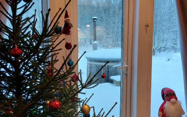 Гостевой дом Дальний кордон (7 км до г.Плес)