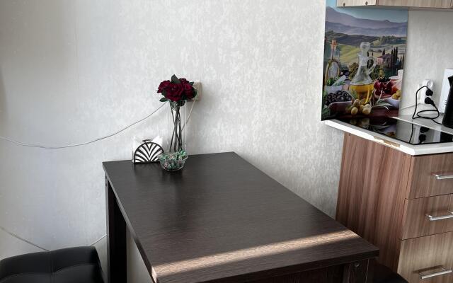 Na Gagarina 172/2 Flat