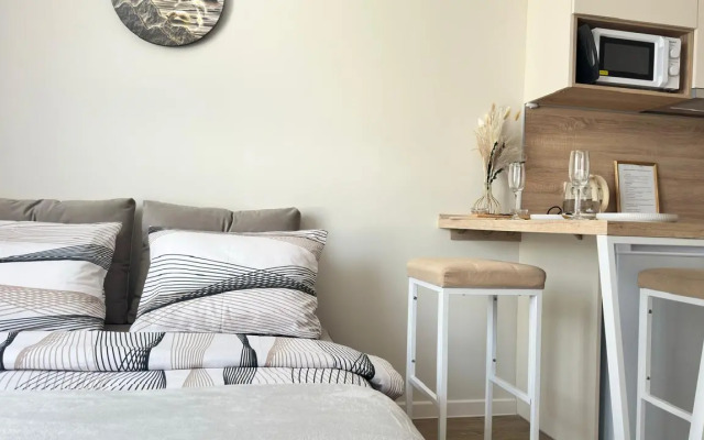 Апартаменты Шикарная студия у Жд Вокзала и ЛеманаПРО