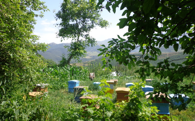 Anush`s B&B Guest House