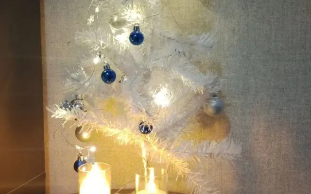 S kondicionerom i parkovkoj Flat
