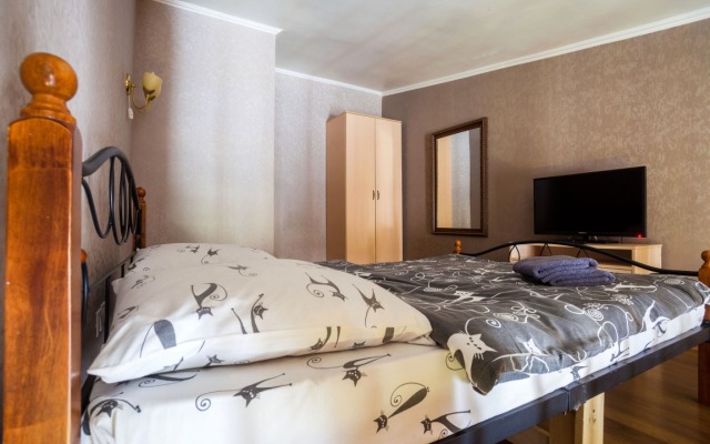 Апартаменты Тучков 24  (3)