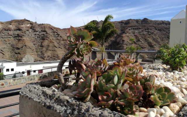 Mapi´s Apartments
