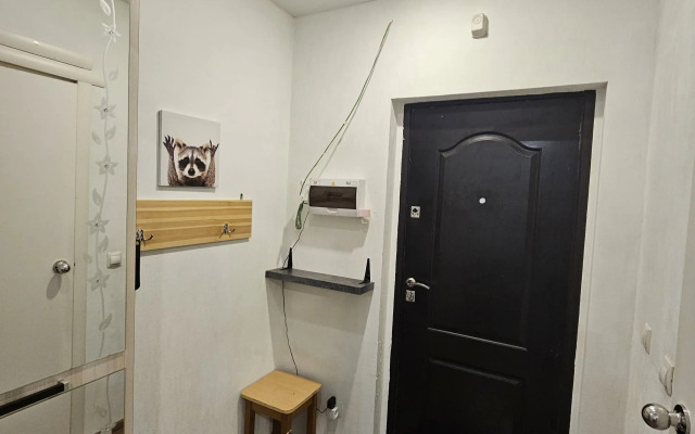 Na Prospekte Aviatorov Baltiki 1k1 Apartments