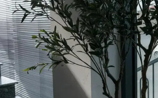 Aristo Boutique Hotel