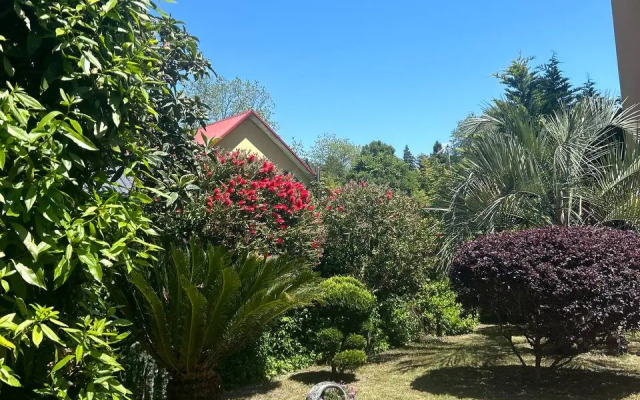 Apelsin Guest House