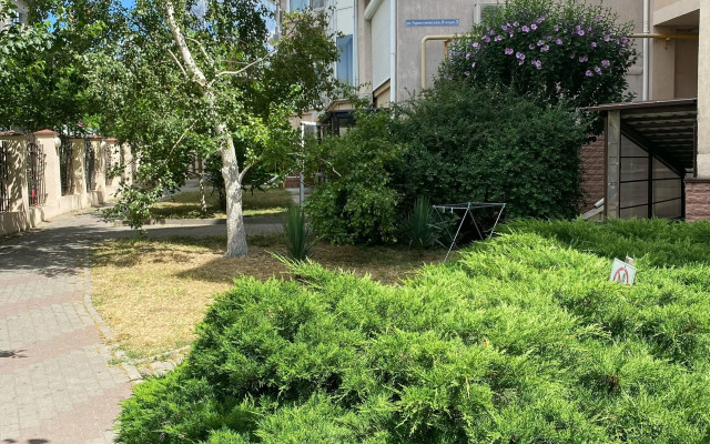 Plint Apartments