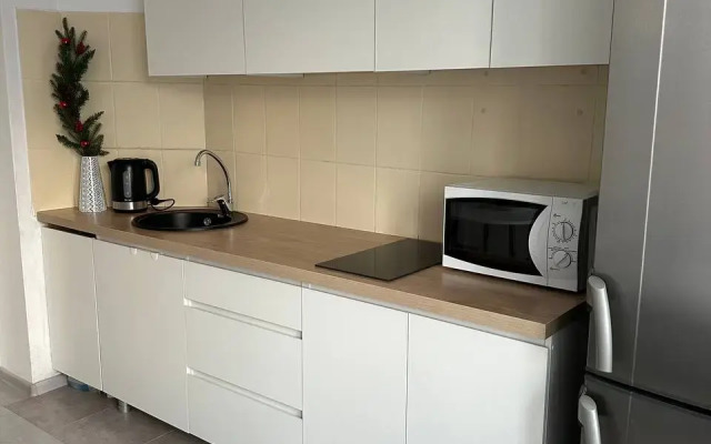 Flat Odnokomnatnaya Kolpino