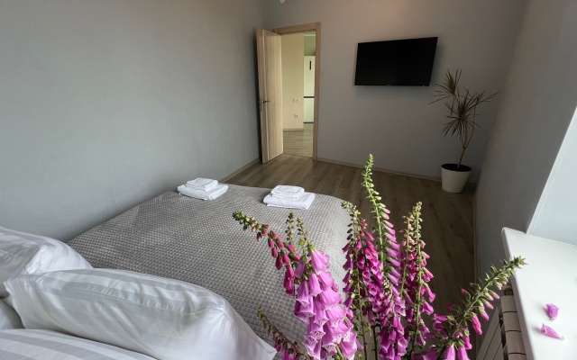Na Krasnoflotskoy S Vidom Na Zamok Apartments