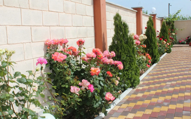 Angelina Guest House
