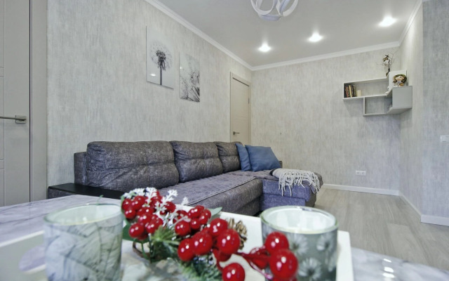 Comfort Apartments v tsentre Flat