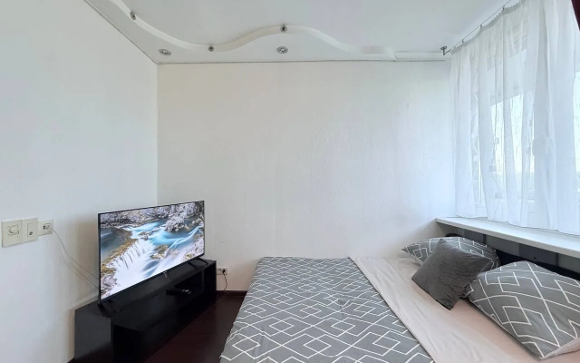 Апартаменты Двухкомнатные у Герцена и Боткина