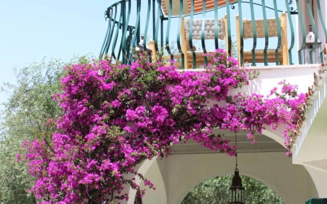 Tenuta Belvedere Guest House