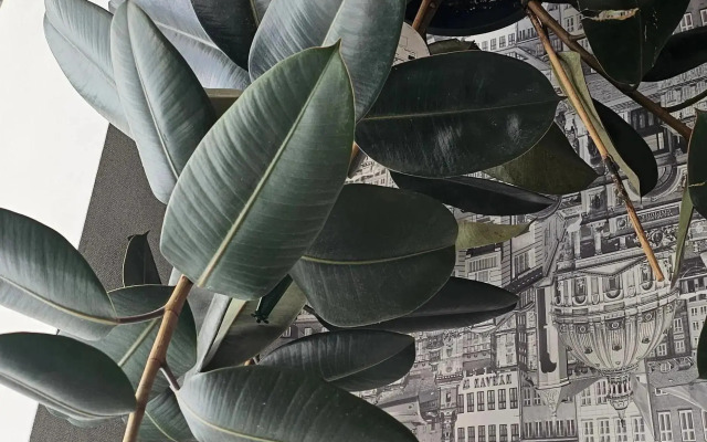 Квартира ЖК Дом на Волге