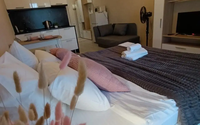 Квартира на Лиговском проспекте 232