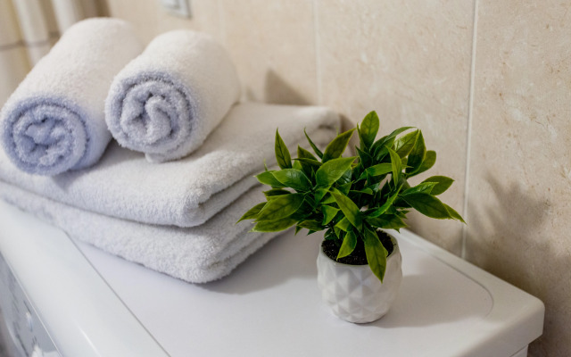 Апартаменты Luoto Aparts