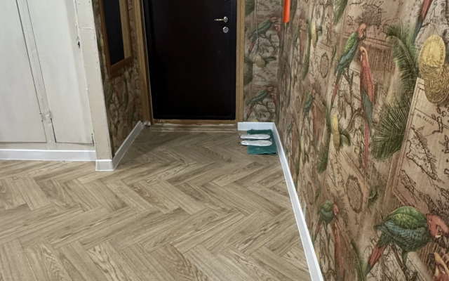 Апартаменты Dorzhu-Home