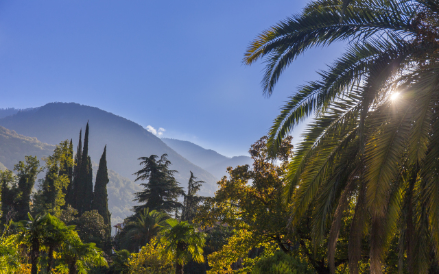 Sunrise Garden Hotel