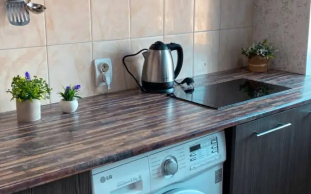 Квартира в Центре Города Биробиджан