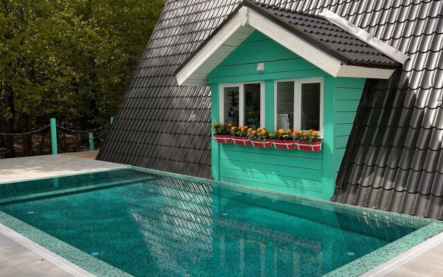 A-Frame Dubhouse Private house