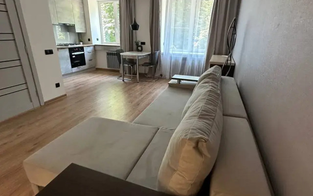 Na Moskovskom 205 Flat