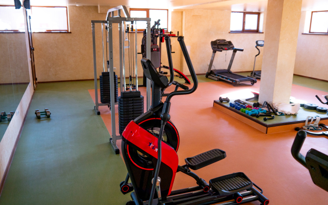 Отель Vita Wellness & SPA