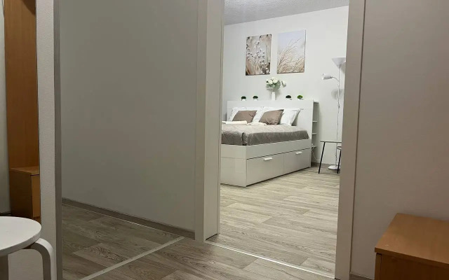 Апартаменты "DaRent Karelia" на Первомайской 12