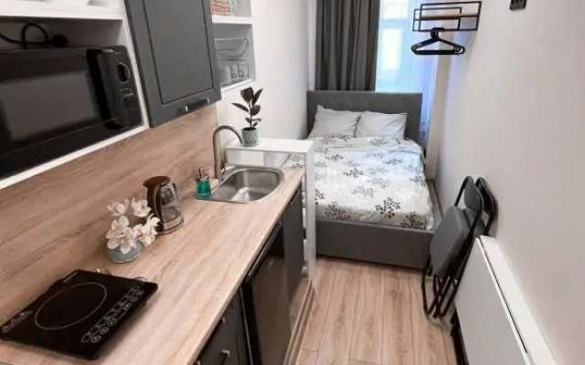 Апартаменты 3 на Чкаловском проспекте