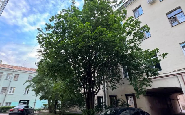 Квартира Большая Московская 11