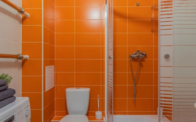 Apartment Standart SalutApart 8
