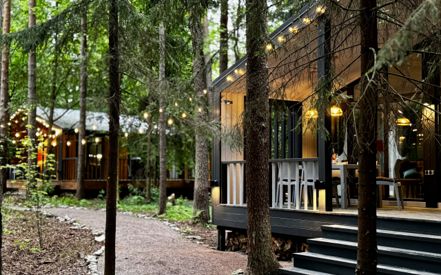 Repinskaya Dacha na Opushke Krasivogo Lesa Private House