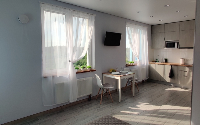 Uyutnaya Studiya U Parka Flat