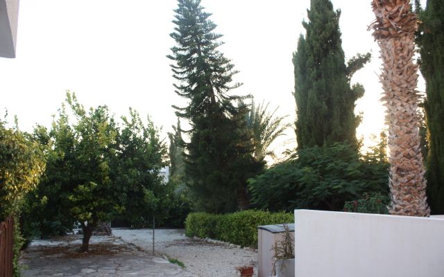 Green Oasis Beach Apartments