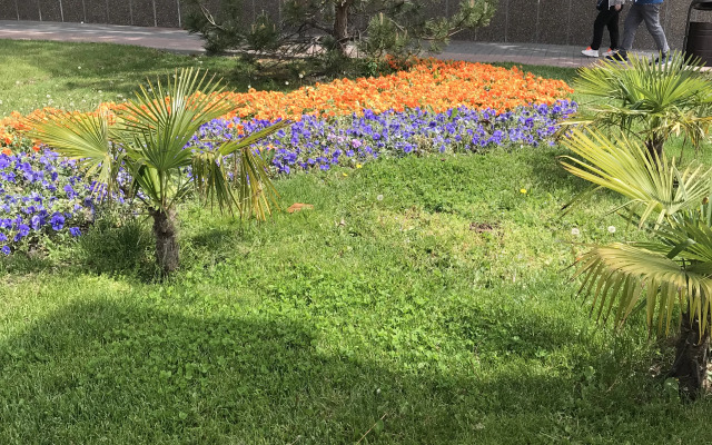 Квартира на Кленовой 2А