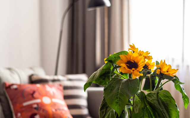 Thames by Downtown Inn Apartments