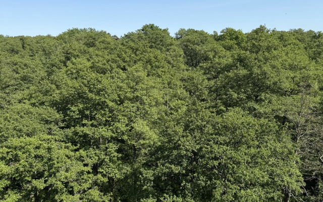 Квартира в новом доме ЖК Созвездие рядом с морем